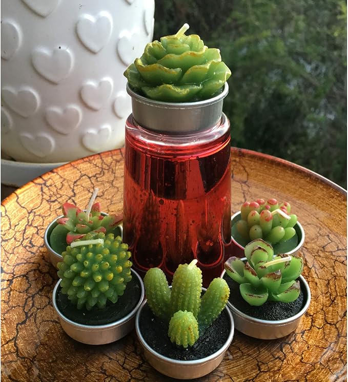 GIFTEXPRESS 18 Pcs Succulent Cactus Candles No Repeat Style, Delicate Smokeless - Image 5