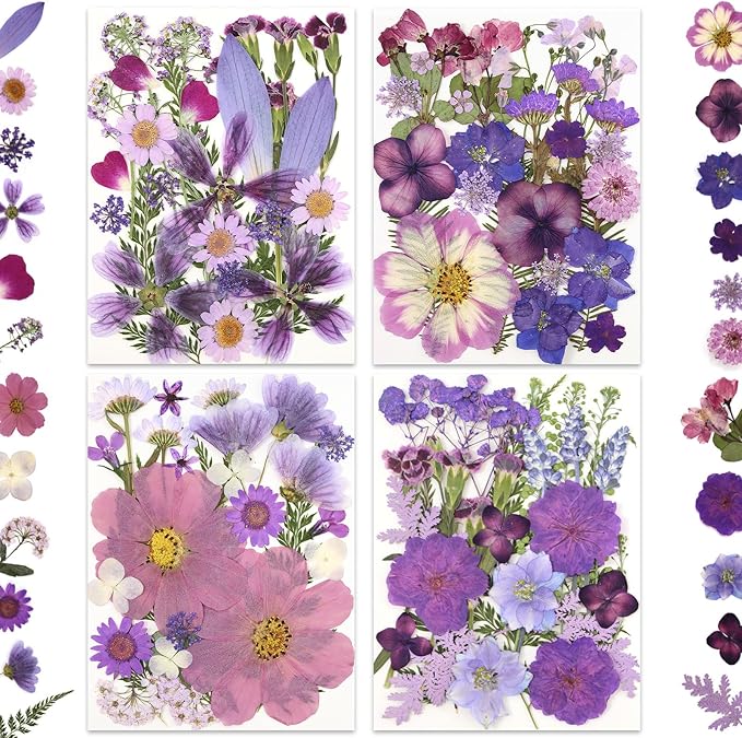 100P Purple Pressed Flowers – Real Dried Flowers - Image 7