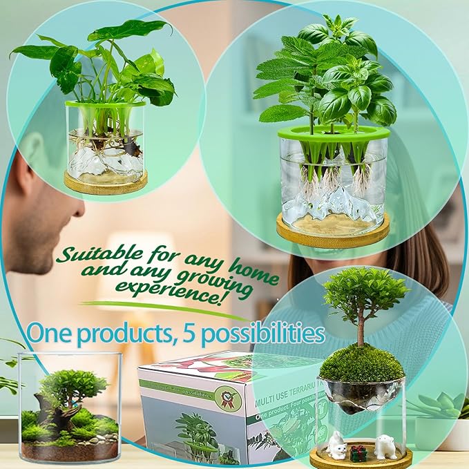 Versatile Plant Propagation Station Vase Hydroponic Planter Pot, Glass Plant - Image 6