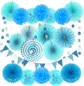 ZERODECO Party Decoration, Pom Poms Flowers, Garlands String Polka Dot and by ZERODECO