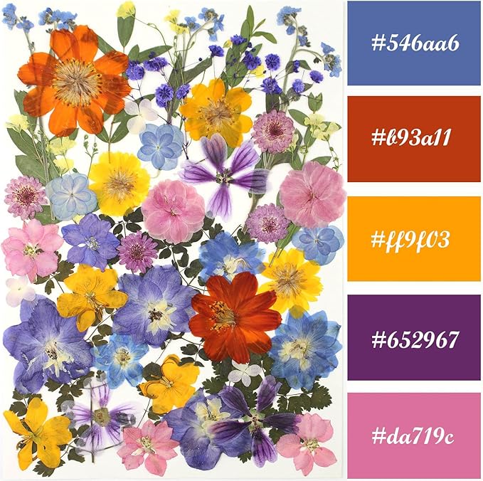 17 Types Retro Dried Pressed Flowers Leaf Plant Herbarium - Image 2