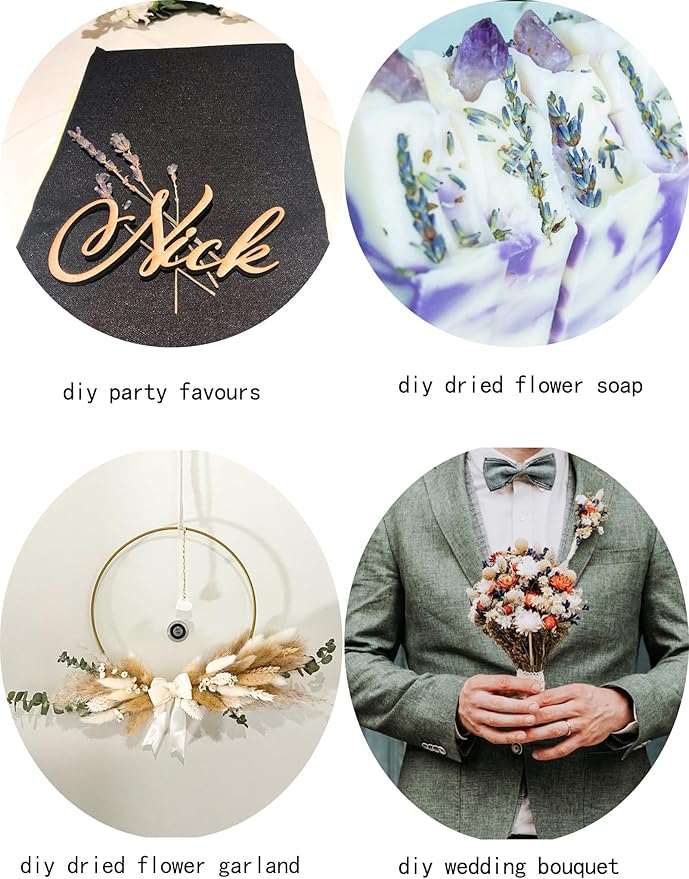 DIY Natural Dried Flower Set, Bulk Dried Flowers - Image 7