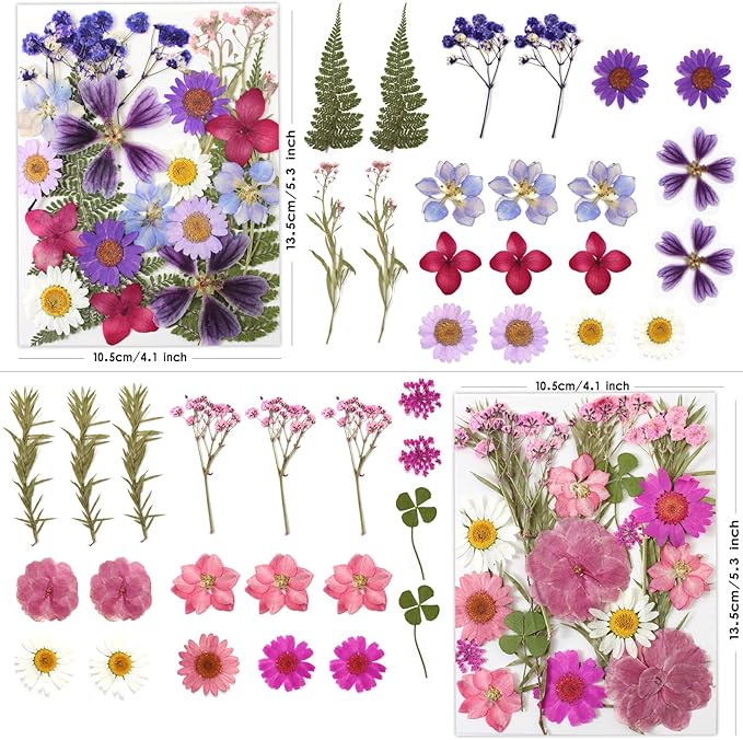 80 Pcs Dried Flowers for Crafts, Real Natural Dried Pressed Flowers in Vibrant - Image 3
