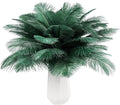 THARAHT Blackish Green Ostrich Feathers 24pcs Natural Bulk 8-10Inch 20cm-25cm by THARAHT