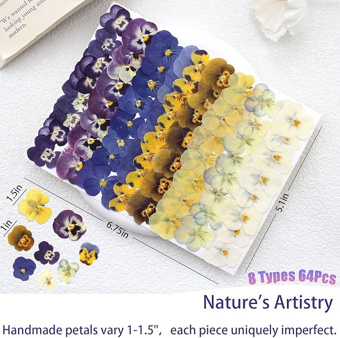 64 Pcs Dried Pressed Viola Flowers, 8 Color Gradient Purple Blue Yellow White - Image 2