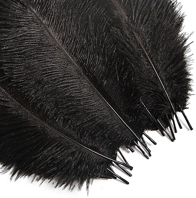Bulk Black Ostrich Feathers - Image 6