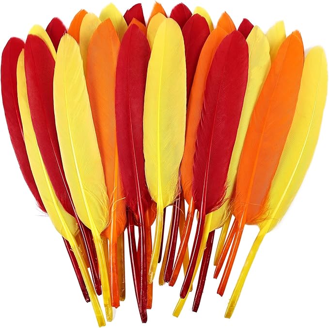 FeelfunFeather 120pcs Colorful Feathers Natural Bulk, 4-6 inch 10-15cm Red by FeelFunFeather