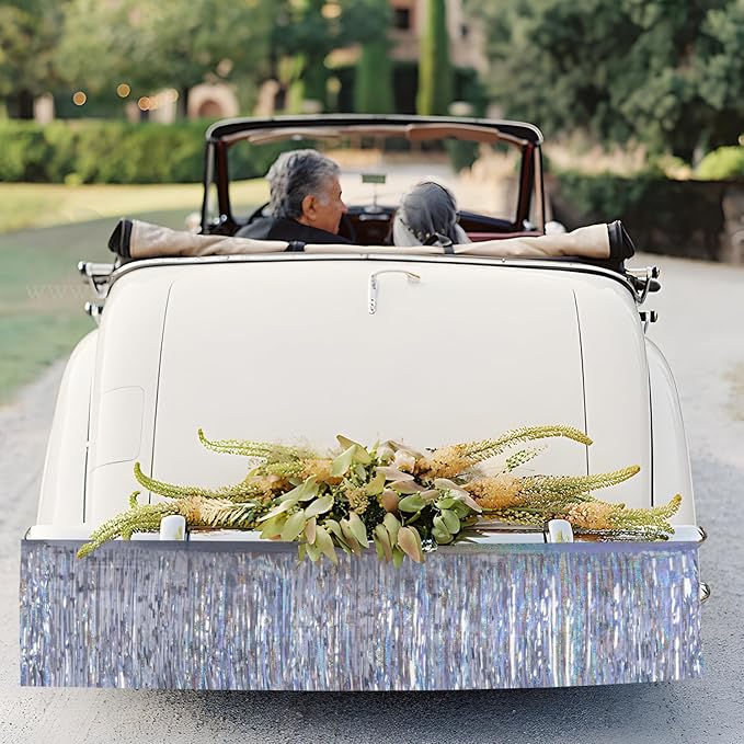 Laser Silver Birthday Decorations Tinsel Garland Parade Float Decorations - Image 2