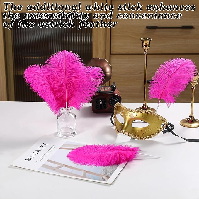 SOGUGOM Fuchisa Craft Ostrich Feathers - Image 5