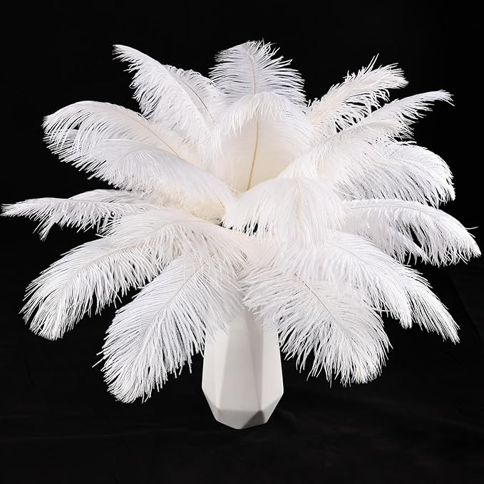 THARAHT White Ostrich Feathers 12pcs Natural Bulk 8-10Inch 20cm-25cm by THARAHT