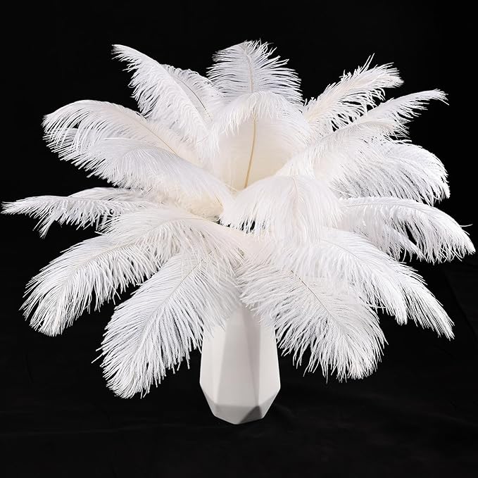 THARAHT White Ostrich Feathers 12pcs Natural Bulk 10-12Inch 25cm-30cm by THARAHT