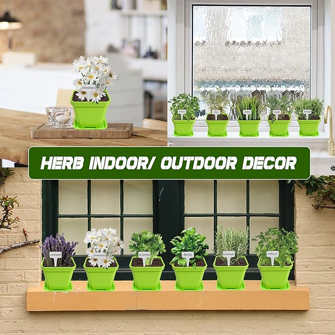 10 Herb Seeds Garden Starter Grow Kit - Image 6