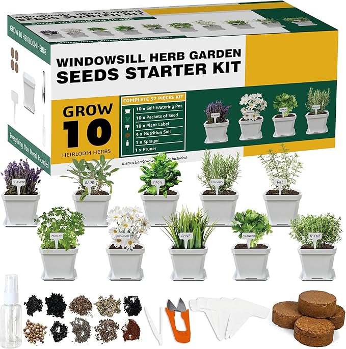 10 Herb Seeds Garden Starter Grow Kit by Meekear-BEWITHYOU