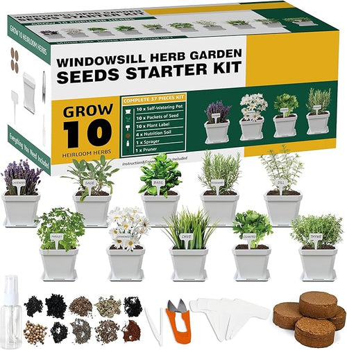 10 Herb Seeds Garden Starter Grow Kit by Meekear-BEWITHYOU