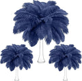 Maitys 90 Pcs Large Natural Ostrich Feathers Bulk 14-16 Inch 12-14 Inch 10-12 by Maitys