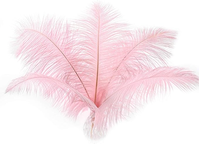 24pcs Natural Light Pink Ostrich Feathers 10-12inch - Image 9