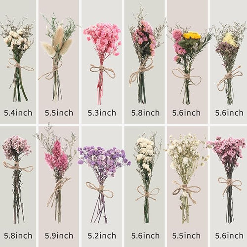 10/12/24/36 Pack Mini Dried Flowers - Image 2