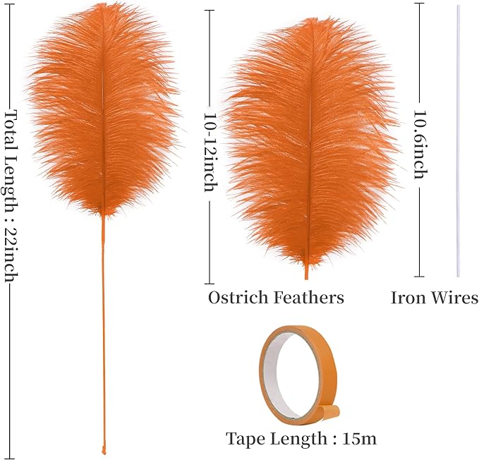 Holmgren Orange Ostrich Feathers Bulk - Image 4