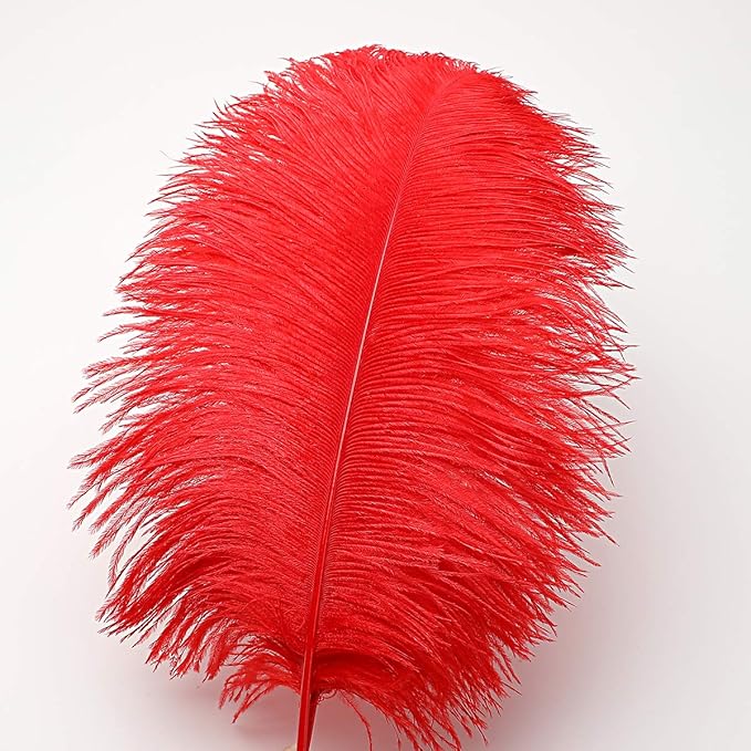 12pcs Natural Bright Red Ostrich Feathers 12-14inch - Image 2