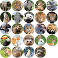 480 Counts Cute Jungle Zoo Wild Animal Stickers 1.5 Round Adhesive Labels by MoShining