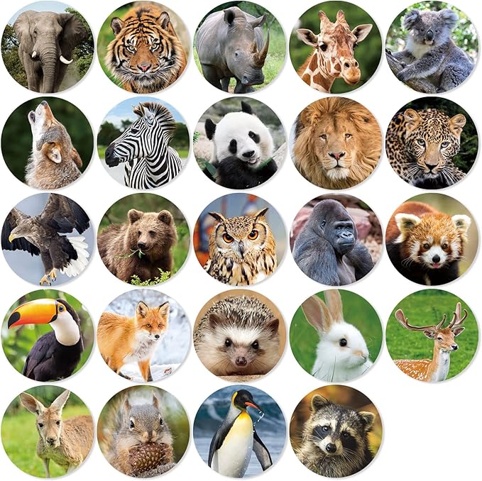 480 Counts Cute Jungle Zoo Wild Animal Stickers 1.5 Round Adhesive Labels by MoShining