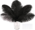 SOGUGOM Black Craft Ostrich Feathers by SOGUGOM