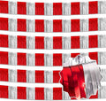 6 Pack 10 Feet Red and Silver Tinsel Foil Fringe Garland, Metallic Streamers by LANTIANCHEN