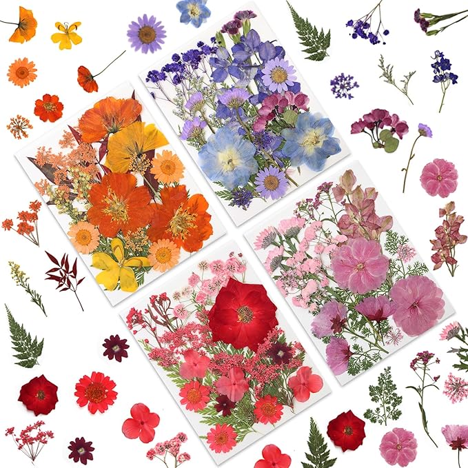 80 Pcs Dried Pressed Flowers for Crafts, Real Natural Dried Pressed Flowers in by LUXEEASE
