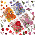 80 Pcs Dried Pressed Flowers for Crafts, Real Natural Dried Pressed Flowers in by LUXEEASE