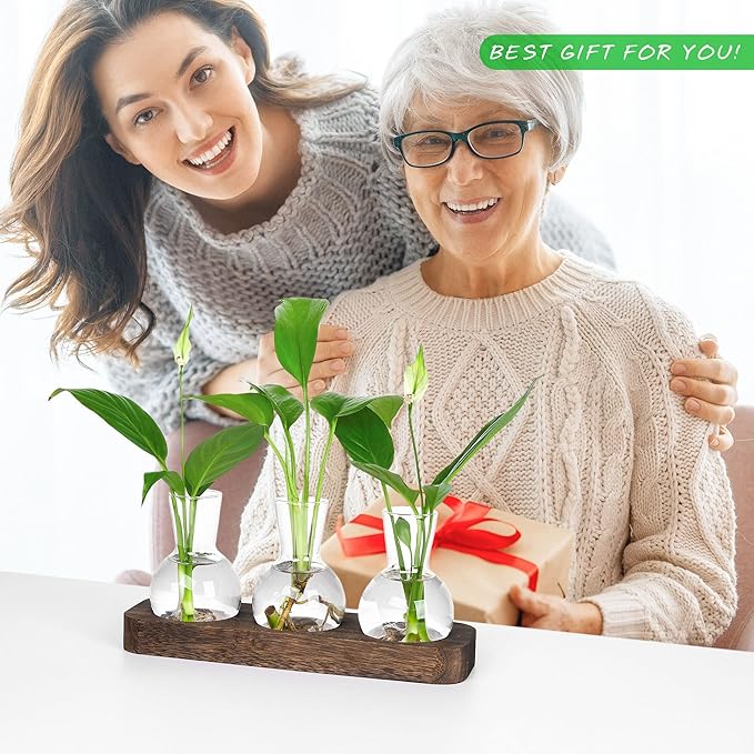 YIBOT Propagation Stations, Plant Propagation Vase, Desk Plant Terrarium - Image 4