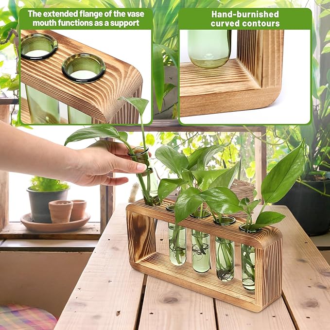 Glass Plant Propagation Station - Image 4