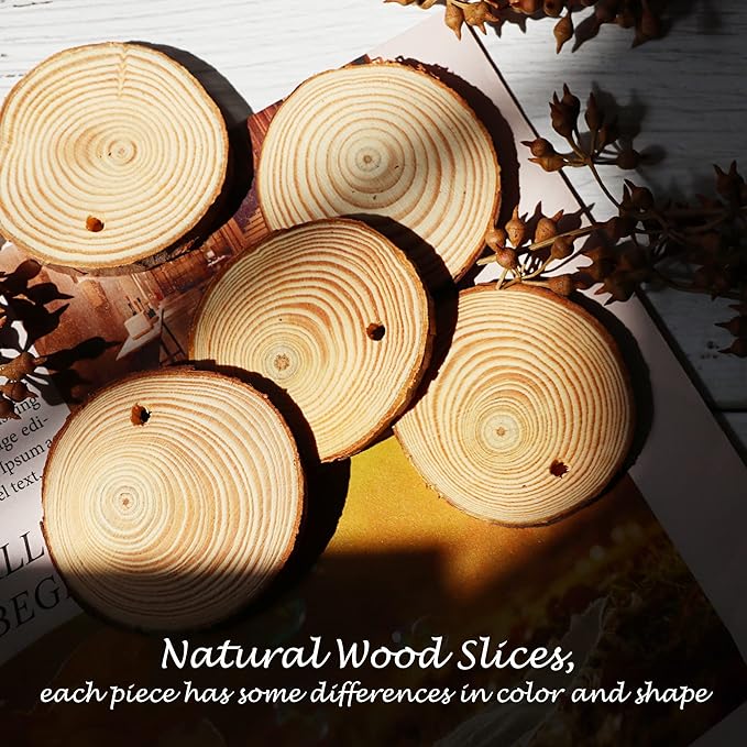Temlum Wooden Plant Labels - Image 7