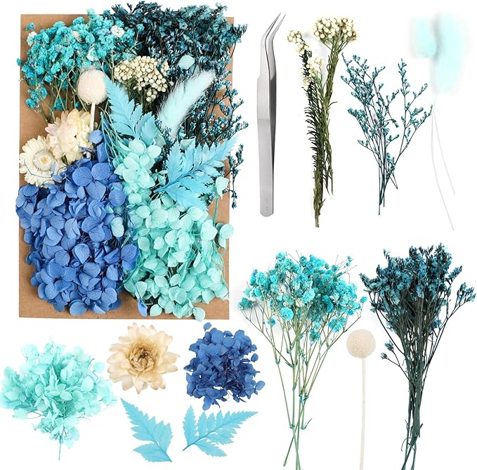 Dried Flowers, Dried Flowers Set by JOFONY