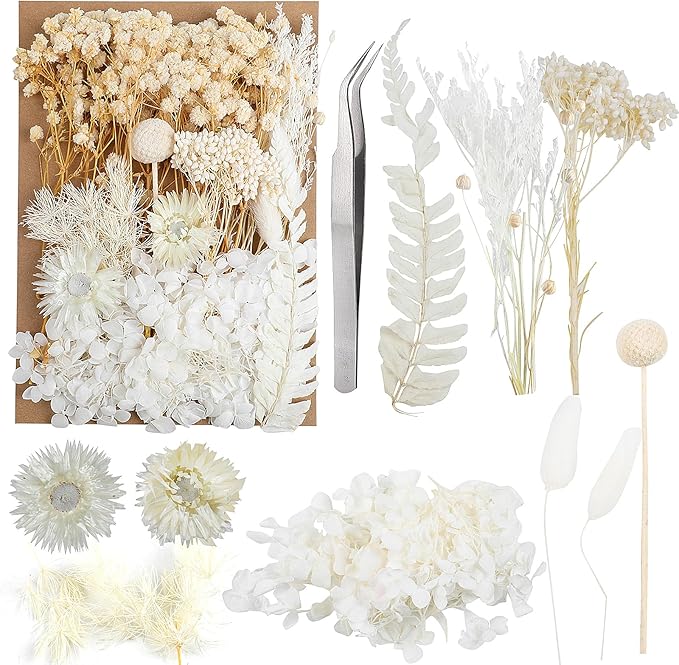 Dried Flowers, Dried Flowers Set by JOFONY