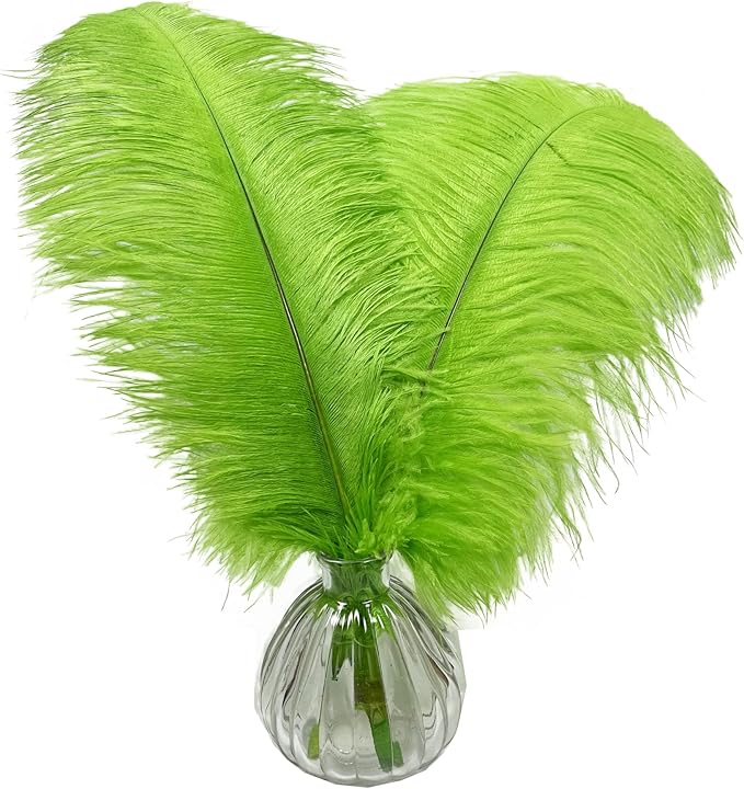 Happy Feather 16-18 inch Green Ostrich Feathers Craft - Image 4