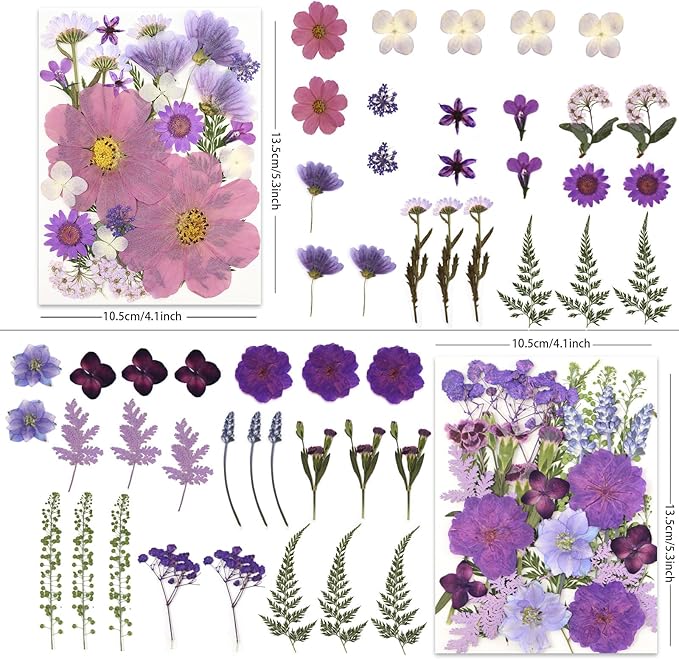 100P Purple Pressed Flowers – Real Dried Flowers - Image 3