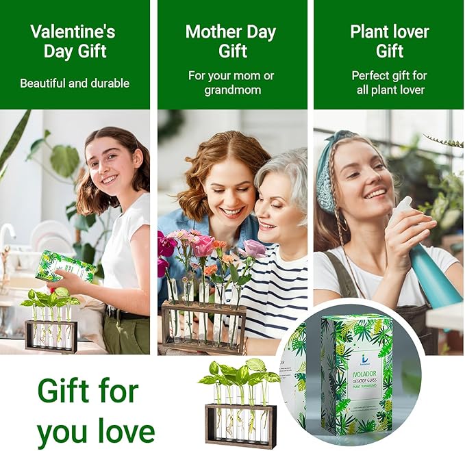 Ivolador Plant Propagation Station Terrariumin Wall Test Tube Vases Bud - Image 7