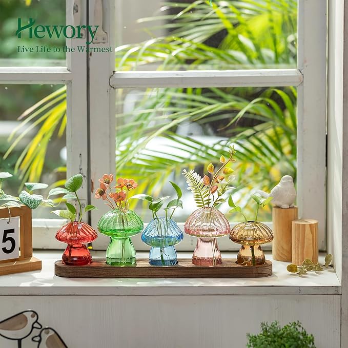 Glass Propagation Station for Plant: Mushroom Planter - Image 2