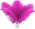 Ballinger Fuchsia Large Ostrich Feathers by Ballinger