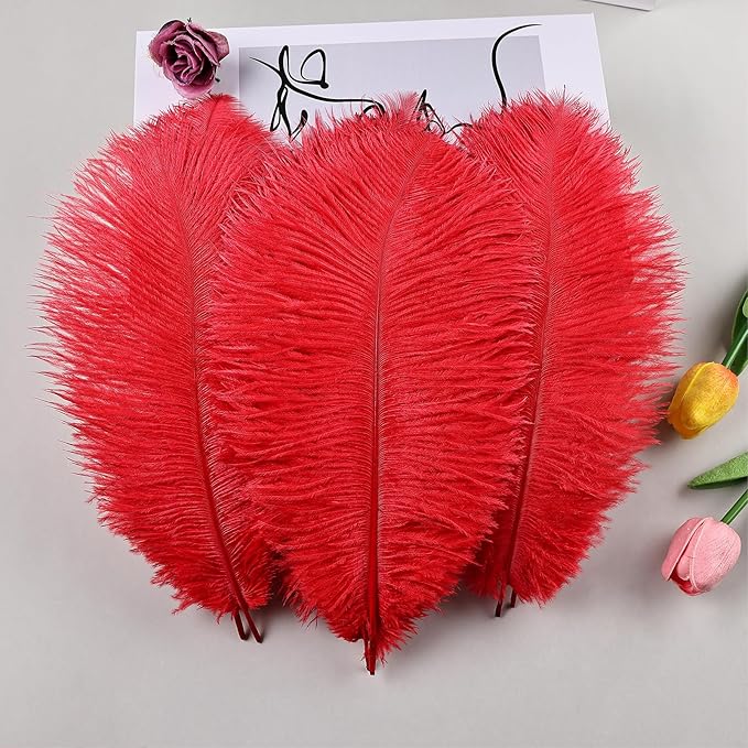 THARAHT Red Ostrich Feathers 24pcs Natural Bulk 10-12Inch 25cm-30cm - Image 5