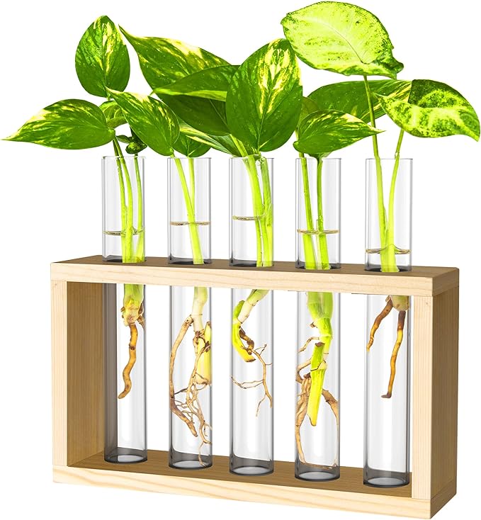 Ivolador Plant Propagation Station Terrariumin Wall Test Tube Vases Bud by IVOLADORI