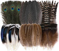 Holmgren 48pcs Natural Feathers Bulk by Holmgren