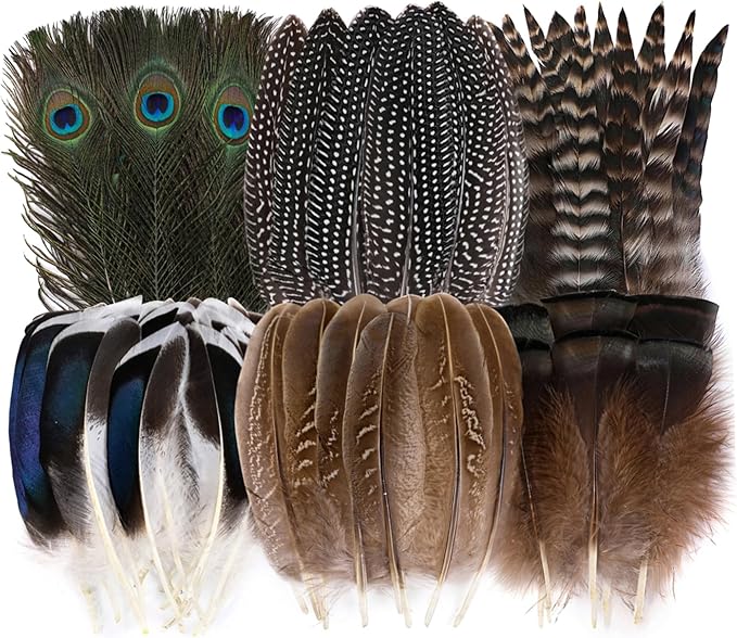 Holmgren 48pcs Natural Feathers Bulk by Holmgren
