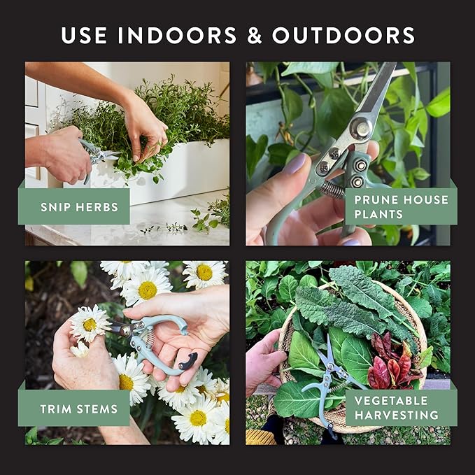 Modern Sprout Pruning Shears - Image 2