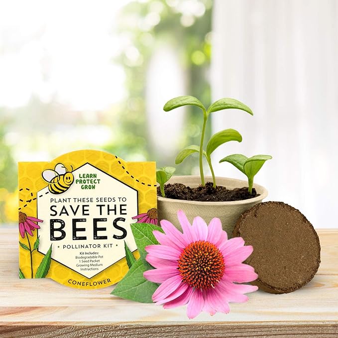 Buzzy Seeds Save The Bees Biodegradable Grow Kit | Herb, Flower Starter Kit - Image 5