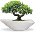 Bonsai Pots - 18 Inch Ceramic Plant Pot by EPFamily