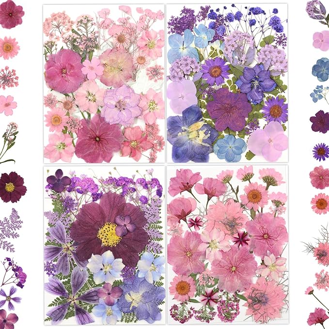 100 Pcs Dried Pressed Flowers for Crafts, Preserved & Dehydrated in - Image 8