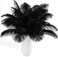 THARAHT Black Ostrich Feathers 12pcs Natural Bulk 8-10Inch 20cm-25cm by THARAHT