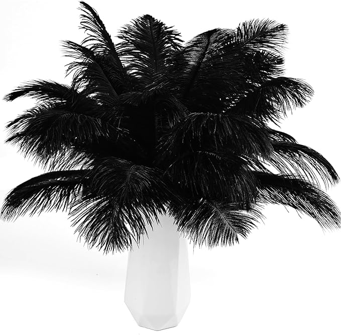 THARAHT Black Ostrich Feathers 12pcs Natural Bulk 8-10Inch 20cm-25cm by THARAHT