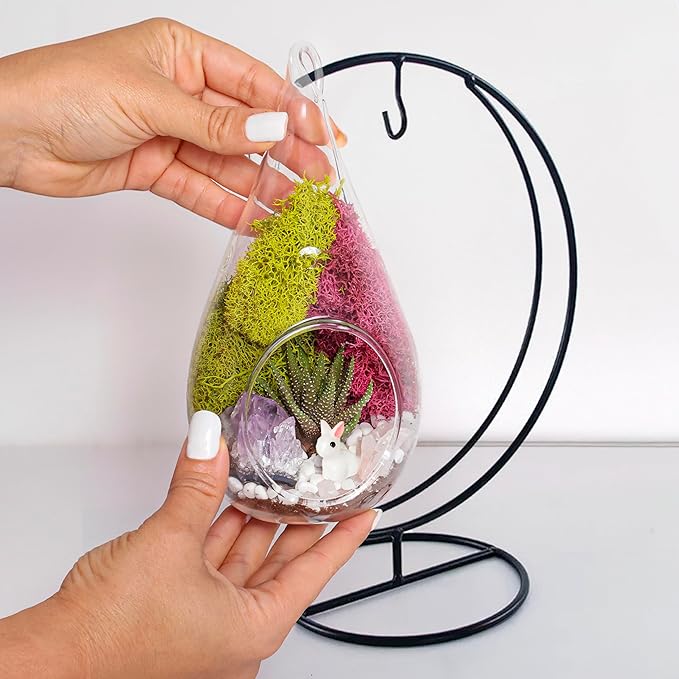 7" DIY Teardrop Terrarium Kit - Image 5